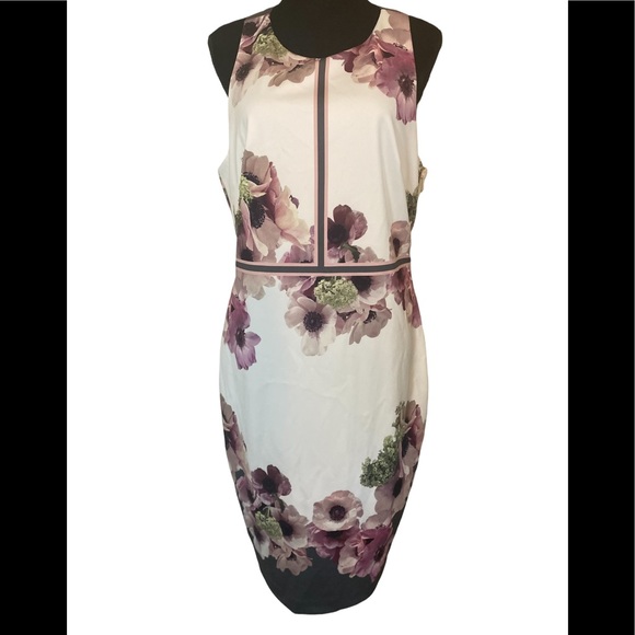 Ted Baker Dresses & Skirts - Ted Baker NWT Nanina Neapolitan Buckle DTL Dress in Lt Grey size 12